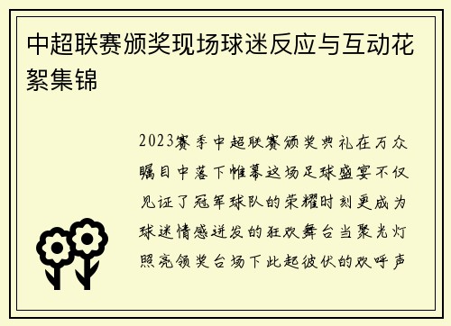 中超联赛颁奖现场球迷反应与互动花絮集锦